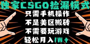 CSGO自动捡漏项目，最新独家玩法，不是美区搬砖，不需要了解和玩游戏，新手小白轻松月入1W+【揭秘】-易得个人分享