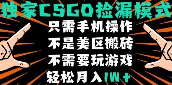 CSGO自动捡漏项目，最新独家玩法，不是美区搬砖，不需要了解和玩游戏，新手小白轻松月入1W+【揭秘】-易得个人分享