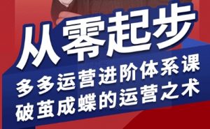 拼多多运营进阶系统课，从零起步，多多运营进阶体系课，破茧成蝶的运营之术-易得个人分享