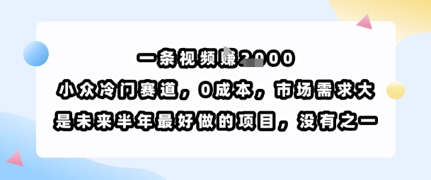 一条视频挣1k，小众冷门赛道，0成本，市场需求大，是未来半年最好做的项目，没有之一-易得个人分享