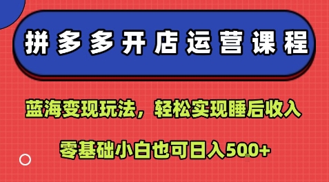 拼多多开店运营课程：蓝海变现玩法，轻松实现睡后收入，零基础小白也可日入5张-易得个人分享