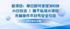 新项目单日即可变现3张的小白玩法无脑操作不封号安全引流-易得个人分享