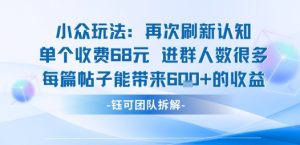 小众玩法再次刷新认知单个收费68米进群人数很多每篇帖子能带来6张的收益-易得个人分享