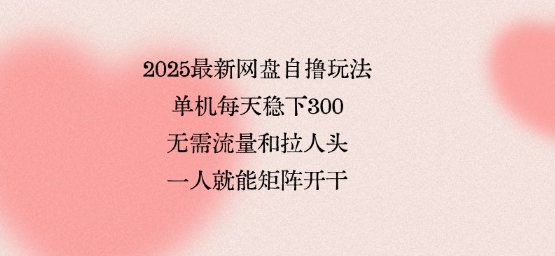2025最新网盘自撸玩法，单机每天稳下3张，无需流量和拉人头，一个人就可轻松矩阵，全网独一份【揭秘】-易得个人分享