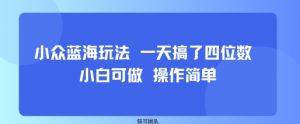小众蓝海玩法 一天搞了四位数 小白可做 操作简单-易得个人分享
