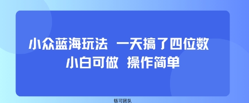 小众蓝海玩法 一天搞了四位数 小白可做 操作简单-易得个人分享