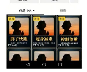 超高变现的短视频减肥细分赛道，减肥账号抖音实战训练营-易得个人分享