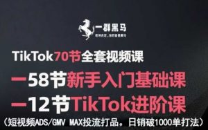 TikTok全套视频课，新手入门+进阶课，短视频ADS-GMV MAX投流打品，日销破1000单打法-易得个人分享