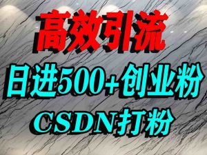 怎么打创业粉？CSDN又一个你不知道的打粉引流神秘平台，单人日引500+精准流量-易得个人分享