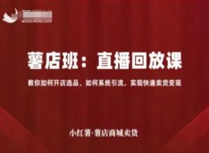 小红薯薯店商城卖货直播回放课，教你如何开店选品、如何系统引流，实现快速卖货变现-易得个人分享
