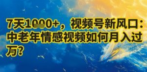 7天收益1k+，视频号新风口：中老年情感视频如何月入过W?-易得个人分享