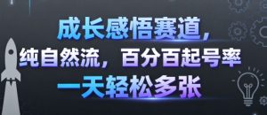 成长感悟赛道，纯自然流，百分百起号率 一天轻松多张-易得个人分享