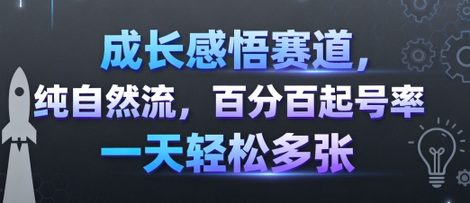 成长感悟赛道，纯自然流，百分百起号率 一天轻松多张-易得个人分享