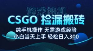 8月最新游戏搬砖，CSGO纯挂G，不需要玩游戏，实现真挂G，月入1W+【揭秘】-易得个人分享