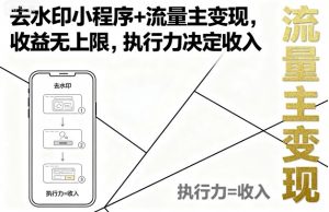 去水印小程序+流量主变现，收益无上限，执行力决定收入-易得个人分享