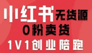 小红书无货源0粉电商课,开店准备、选品策略、笔记撰写、视频剪辑、数据分析、账号打造、资料文档-易得个人分享