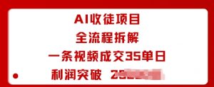 AI收徒项目全流程拆解一条视频成交35单日利润突破1k+-易得个人分享