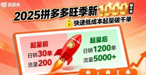 2025拼多多旺季新老店铺——快速低成本起量破千单-易得个人分享