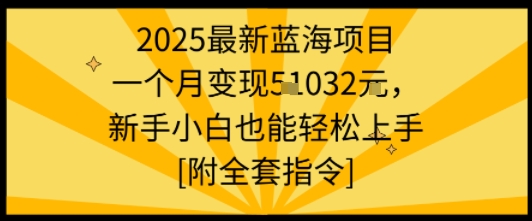 2025最新蓝海项目一个月变现1w+新手小白也能轻松上手【附全套指令】-易得个人分享