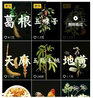 抖音中草药赛道，用AI做中草药故事视频，45条作品涨粉13W，橱窗带货猛猛出单-易得个人分享