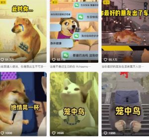 狗头幸运星UE5动画全套课程，从入门到实操全掌握-易得个人分享