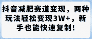 抖音减肥赛道变现，两种玩法轻松变现3W+，新手也能快速复制-易得个人分享
