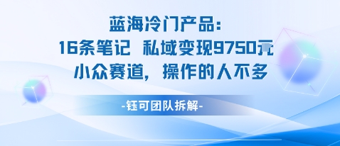 蓝海项目：16条笔记私域变现9750米小众赛道操作的人不多-易得个人分享