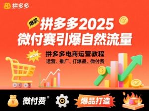 拼多多2025微付费引爆自然流量，拼多多电商运营教程，运营、推广、打爆品、微付费（更新）-易得个人分享