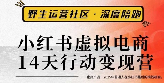 小红书虚拟电商14天变现训练营3.0，​虚拟产品，2025年普通人在小红书最后的搞钱机会-易得个人分享