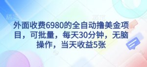 外面收费6980的全自动撸美刀项目，可批量，每天30分钟，无脑操作，当天收益5张【揭秘】-易得个人分享