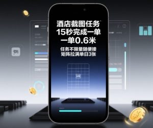 酒店截图任务，15秒完成一单，一单0.6米，任务不限量随便接，矩阵拉满单日3张【揭秘】-易得个人分享