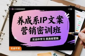 养成系IP文案营销密训班，实战中学习真高级营销-易得个人分享