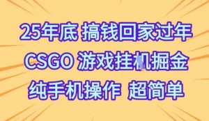 25年底搞钱回家过年，CSGO游戏挂G掘金，纯手机操作超简单【揭秘】-易得个人分享