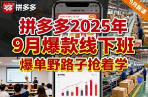 拼多多2025年9月爆款线下班,爆单野路子抢着学-易得个人分享