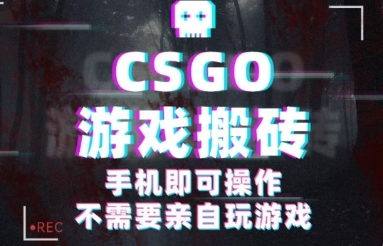 CSGO游戏挂G捡漏，单日扫货5张+，年底小高峰上车可吃肉，手机即可操作，兼职副业创业网创【揭秘】-易得个人分享