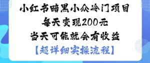 小红书暗黑小众冷门项目每天变现2张当天可能就会有收益-易得个人分享
