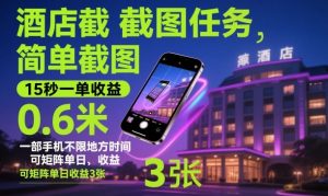酒店截图任务，简单截图，15秒一单收益0.6米，一部手机不限地方时间，可矩阵单日收益3张【揭秘】-易得个人分享