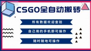 CSGO全自动搬砖，年底钱回家好项目，当天可拿到结果，新手小白轻松月入1W+【揭秘】-易得个人分享