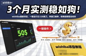 3个月实测稳如狗！wishlba最新项目，一键运行日入50美刀，单窗口躺挣，保姆级教程全给你【揭秘】-易得个人分享
