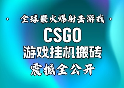 【年底大揭秘】基于全球最火爆的射击CSGO游戏挂G搬砖，日入5张+，震撼公开-易得个人分享
