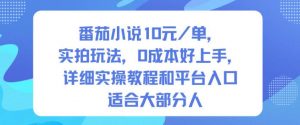 番茄小说10米每单，实拍玩法，0成本好上手，详细实操教程和平台入口适合大部分人-易得个人分享