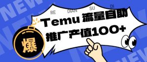 专注于Temu商家提供精准曝光浏览量，助力店铺排名提升和转化，单机日收入80-130【揭秘】-易得个人分享
