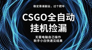 【稳定副业】全球最热门游戏CSGO全自动捡漏，最新玩法，新手小白日入5张+【揭秘】-易得个人分享