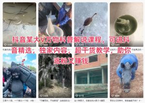 抖音某大V万物科普解说课程，可进抖音精选，独家内容，超干货教学，助你涨粉又賺钱-易得个人分享