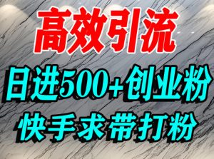 怎么打创业粉？快手求带视角精准引流创业粉，宝妈、学生群体日进500+精准流量-易得个人分享