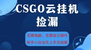 CSGO云挂G全自动捡漏，最新独家玩法，无需电脑操作，新手小白日入5张+【揭秘】-易得个人分享