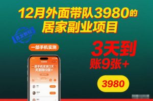 12月外面带队3980的居家副业项目，一部手机实测3天到账9张+，首发教程【揭秘】-易得个人分享
