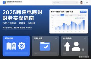 2025跨境电商财务实操指南，从后台到账本，算清每一分利润，系统讲解-案例实操-专业提升-易得个人分享