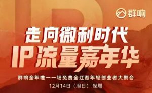 2025ip嘉年华万人12月14深圳线下课，走向微利时代，IP流量嘉年华，实操性极强的商业干货课-易得个人分享