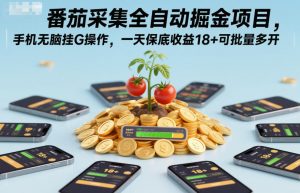 番茄采集全自动掘金项目，手机无脑挂G操作，一天保底收益18+可批量多开【揭秘】-易得个人分享